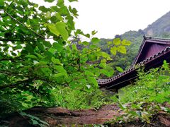 -浙北大峡谷
