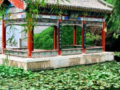 -厦门园林博览苑