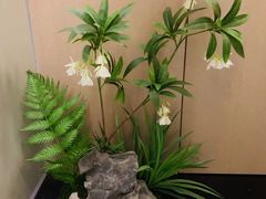 -予厘·推拿按摩·精油SPA(憩舍长安店)