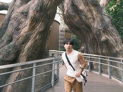 -新加坡飞禽公园