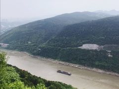 -铁山坪森林公园