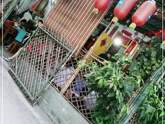 -周肥肠(江油总店)