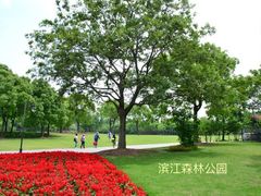 -上海滨江森林公园