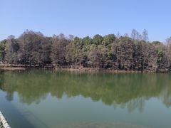 -东湖落雁景区