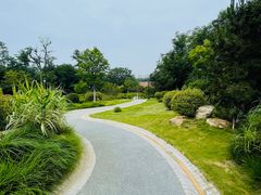 -青岛电视塔