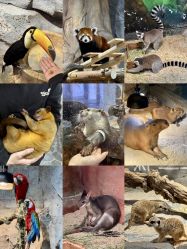 -Zoolung Zoolung动物主题公园(海信广场店)