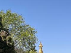 -护国法轮寺