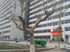 -山东大学(威海校区)
