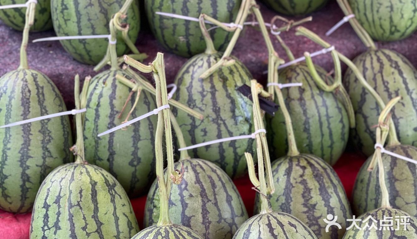 今年夏天最好吃的西瓜🍉｜庞各庄买西瓜🍉新发现