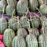 今年夏天最好吃的西瓜🍉｜庞各庄买西瓜🍉新发现