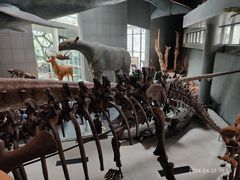 -1868 Café(上海自然博物馆店)