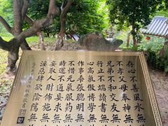 -广州神农草堂中医药博物馆