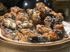 -五月罗马海鲜自助餐厅(陆家嘴店)
