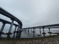 -星海湾跨海大桥