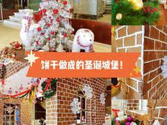 -苏州金鸡湖大酒店