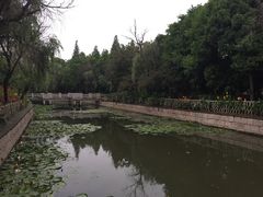-河泥荡文化公园