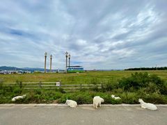 -敕勒川草原