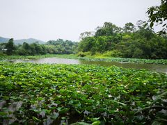 -老木棉·匠园