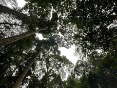 -都江堰普照寺