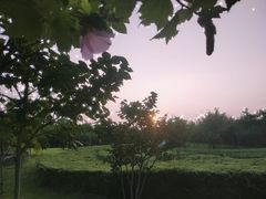 -洨河生态公园