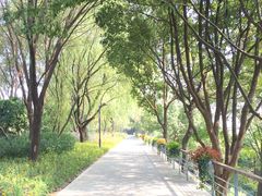 -西湖风景区-江洋畈生态公园
