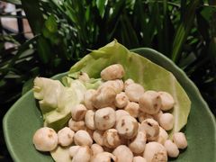 珍珠马蹄-润园四季椰子鸡火锅(海上世界店)