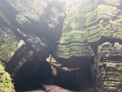 -梦幻奥陶纪景区