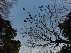 -上海吴淞炮台湾国家湿地公园