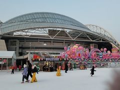 -沈阳奥体冰雪嘉年华