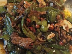 -三强鸽子(中原路店)