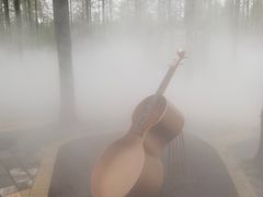 -黄海国家森林公园