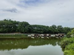 -江门古劳水乡旅游区