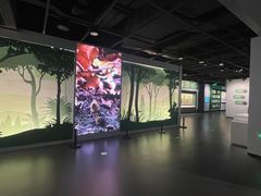 -四川大学博物馆
