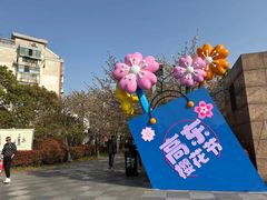 -高东镇樱花园
