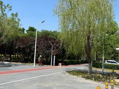 -绿堤公园