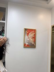 -爱秀造型 T-G