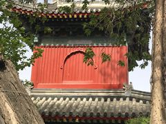 -北京艺术博物馆(万寿寺)