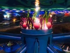 -青岛嘉年华主题乐园