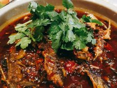 黄辣丁-红辣椒·川菜·火锅(科华路店)