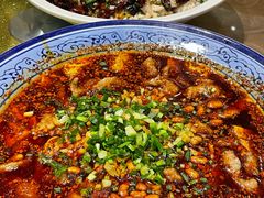 -三猫黑鱼花(南大店)