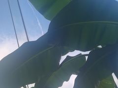 -辰熙ACX星海艺术中心
