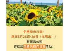 -野狸岛