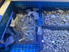 -花西亭·海鲜自助餐厅(瑞城名人酒店)
