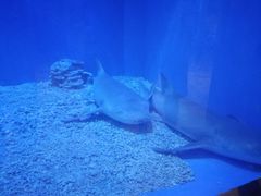 -华夏文旅西安度假区