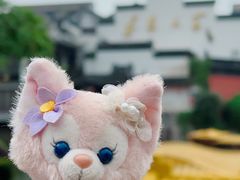 -夫子庙秦淮河画舫