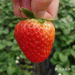 VByIBzRwnChlmKyBb4a4pMdv-wXA9y1NT-GnVyOwEnpUYT4oEaurKn6_Sc_-uOXZuzFvxlbkWx5uwqY2qcjixFEuLYk00OmSS1IdNpm8K8sG4JN9RIm2mTKcbLtc2o2vfCF2ubeXzk49OsGrXt_KYDCngOyCwZK-s3fqawWswzk.jpg