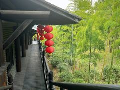 -大唐贡茶院