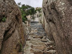 -乌里雅斯太山