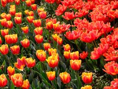 -玄武湖景区-情侣园游乐场