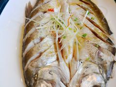 清蒸白鱼-湾里人家(旺山景区店)
